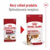 Royal Canin Medium Ageing 10+ 10 x 140g