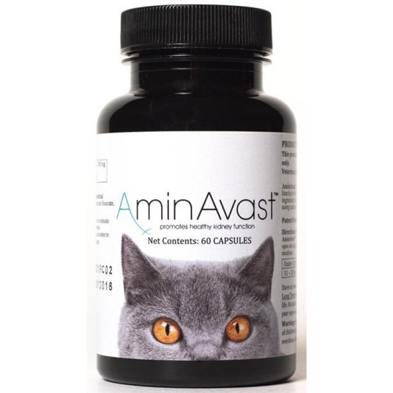 AminAvast Mačka 60 cps