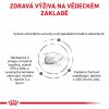 Royal Canin VHN Cat Gastrointestinal 400g