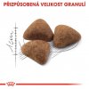 2x Royal Canin Indoor 10kg