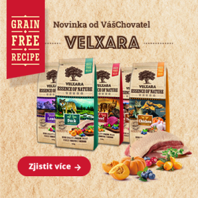 Holistická novinka bez obilnín – VELXARA