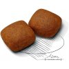 Royal Canin Giant Junior 15kg