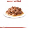 Royal Canin Instinctive Gravy kapsička v šťave 85g