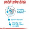 Royal Canin Maxi Puppy 10 x 140g