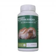 nutricní  hlodavci 3.png