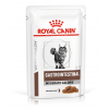 Royal Canin VD Cat Gastrointestinal Moderate Calorie Pouch 12 x 85g