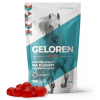 Geloren Active kĺbová výživa pre ľudí 400g 90tbl
