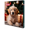 Adventný kalendár pre psov PREMIO 380g mäsovej pochúťky Trixie