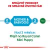 Royal Canin SHN MINI STARTER M&B 4 kg