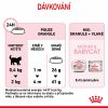 Royal Canin Mother & BabyCat 2kg