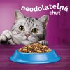 2x Whiskas Dry s tuniakom 14kg