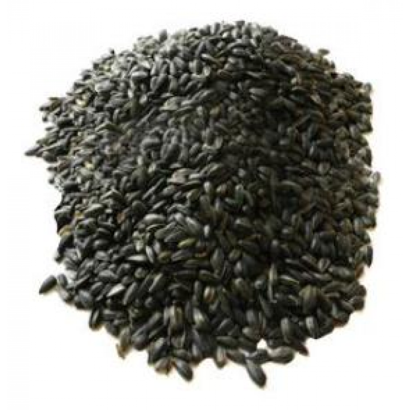 Slnečnica čierna 5kg