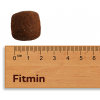 2 x Fitmin For Life DOG Adult Large Breeds 12 kg