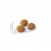 Royal Canin Aromatic Exigent 10kg