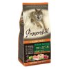 Primordial GF Adult Chicken Salmon 12kg