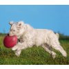 Trixie Lietajúci tanier pre psov frisbee Doggy Disc MINI 15cm