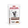 Royal Canin VD Cat Gastrointestinal Pouch 12 x 85g