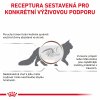Royal Canin VHN Cat Gastrointestinal 400g