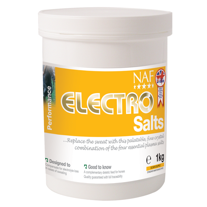 Electro Salts, elektrolyty v prášku pri nadmernom potení 1000g