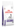 Royal Canin VDD Dental 6kg
