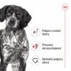 Royal Canin Medium Adult 10 x 140g