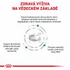 Royal Canin VHN DOG ANALLERGENIC SMALL DOG 3 KG