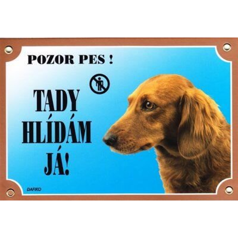 Farebná ceduľka Pozor pes, Jazvečík dlhosrstý (text v ČJ)