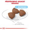 Royal Canin SHN MEDIUM STARTER MOTHER&BABYDOG 15kg