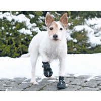 Ochranná neoprenová topánočka Walker Active Trixie M (2ks)