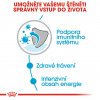 Royal Canin Mini Puppy 12 x 85g