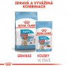 Royal Canin Medium Puppy 10 x 140g