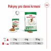 Royal Canin Mini Adult 12 x 85g