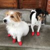 Ochranné topánočky Pawz červené S (12ks)