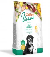 calibra verve.jpg