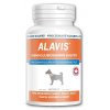 Alavis MSM+Glukosamín sulfát pre psov 60tbl