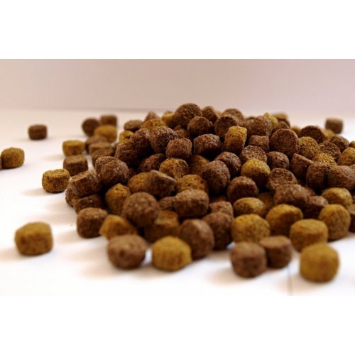 First mate senior dog food cheap