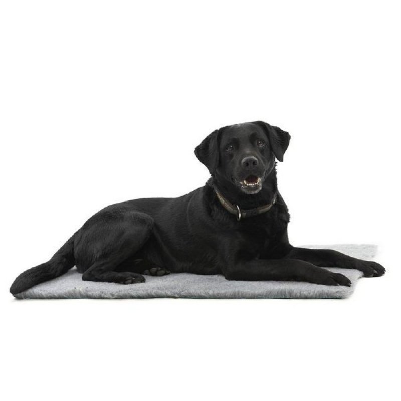 Podložka Vet Bed Original 152x137cm šedá, Kruuse