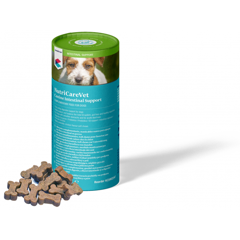NutriCareVet Intestinal supp. Canine CHEW 60tbl CVET