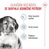 Royal Canin Medium Puppy 15kg