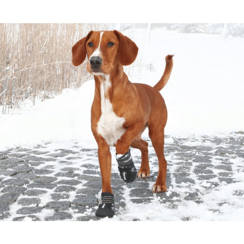 Ochranná neoprenová topánočka Walker Active Trixie M/L (2ks)