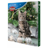 Adventný kalendár pre mačky 380g Trixie
