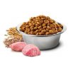 Farmina N&D Low Grain Light M/L Chicken & Pomegranate 12kg
