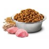Farmina N&D LG CAT Neutered Chicken & Pomegranate 10kg