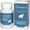 Roboran Chondro 6 pre psy 60tbl