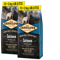 2x Carnilove Dog Salmon for Adult 12kg + 4 kg ZADARMO
