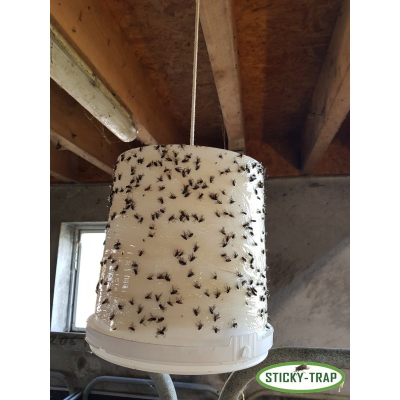 Sticky Trap Biely kýblik na výrobu pasce na muchy