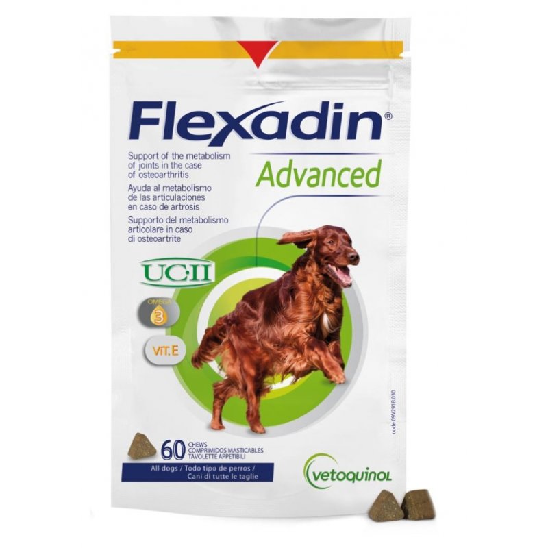 Flexadin Advanced NEW 60tbl