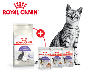 Royal Canin Kitten alebo ako správne kŕmiť mačiatko