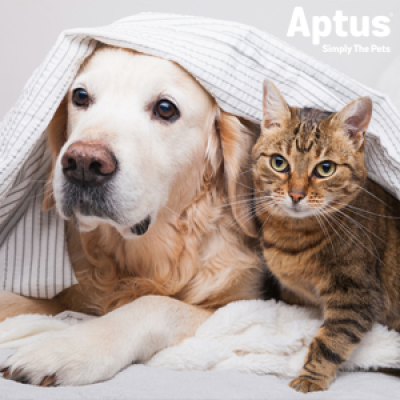 APTUS - Kompletná ponuka produktov (diel druhý) ​