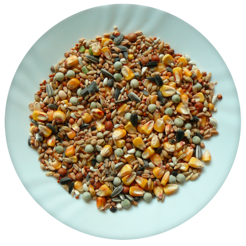 Avicentra Holub standard 25kg